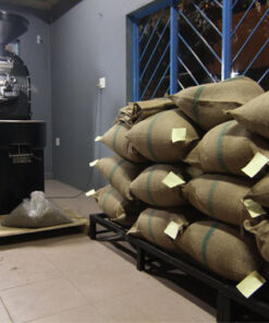 Cà phê nhân cbu gia lai