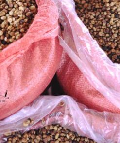 Robusta honey gia lai