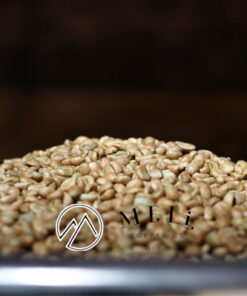 ca phe Robusta Honey